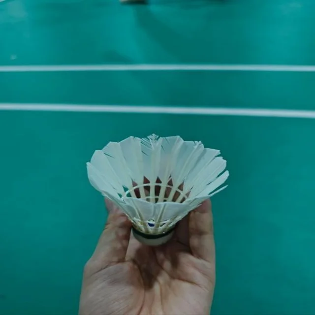詹姆斯续约前景引发球迷热议